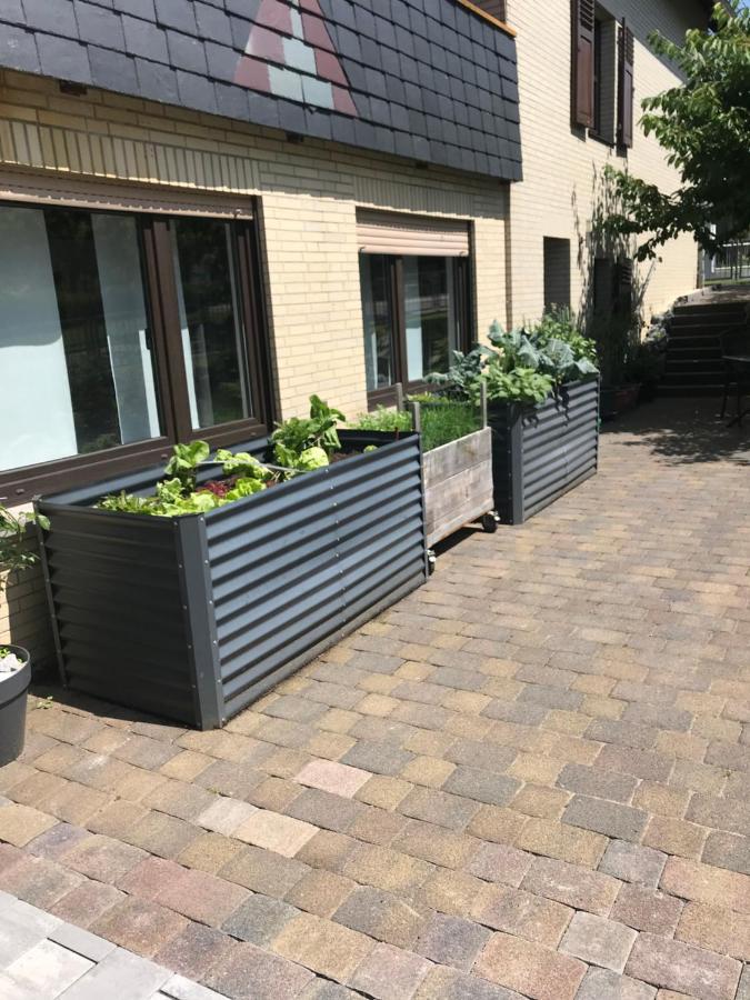 Ferienwohnung Am Weiltalradweg Weinbach Екстер'єр фото